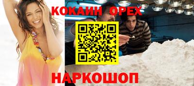 тгк Новозыбков