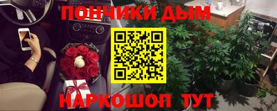 тгк Новозыбков