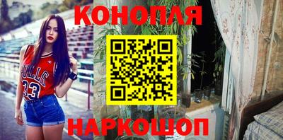 тгк Новозыбков