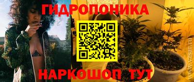 a pvp Новодвинск