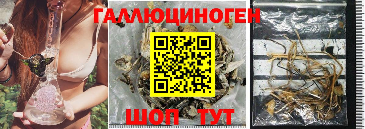 Псилоцибиновые грибы мухоморы Ухта